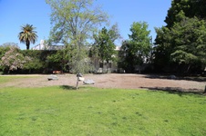 Enlarge photo 23
