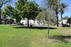 Enlarge photo 27