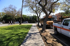 Enlarge photo 43