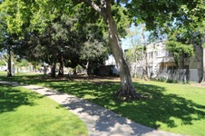Enlarge photo 53