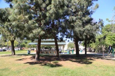 Enlarge photo 35