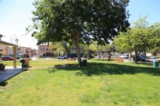 Enlarge photo 40