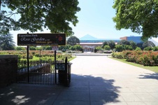 Exposition Park Rose Garden