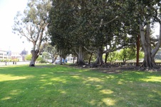 Enlarge photo 6