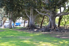 Enlarge photo 7