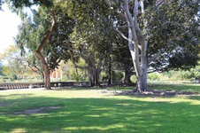 Enlarge photo 10