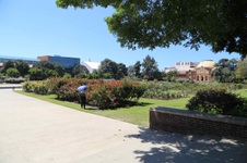 Enlarge photo 13