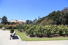 Enlarge photo 15