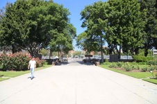 Enlarge photo 17