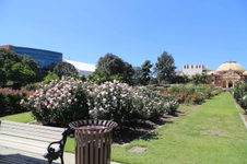 Enlarge photo 21