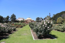 Enlarge photo 22