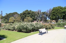 Enlarge photo 23