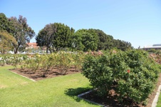 Enlarge photo 29