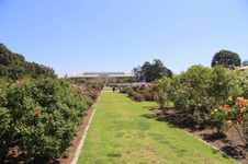 Enlarge photo 30