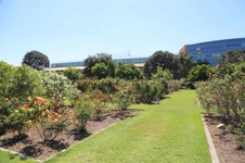Enlarge photo 31
