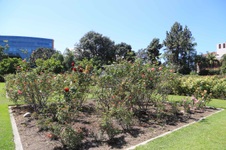 Enlarge photo 32