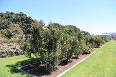 Enlarge photo 35