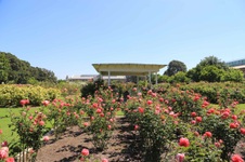 Enlarge photo 40