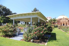 Enlarge photo 43