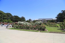 Enlarge photo 48