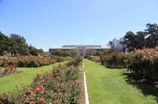 Enlarge photo 49