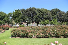 Enlarge photo 51