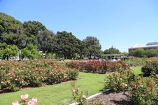 Enlarge photo 52