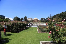 Enlarge photo 55