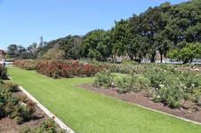Enlarge photo 59