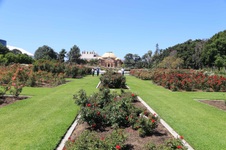 Enlarge photo 60