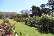 Enlarge photo 63