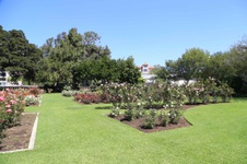 Enlarge photo 64