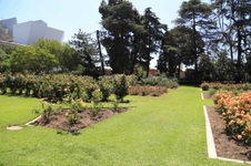 Enlarge photo 66