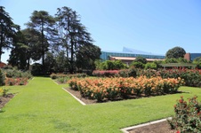 Enlarge photo 67