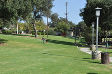 Enlarge photo 14