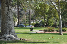 Enlarge photo 22