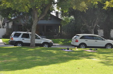 Enlarge photo 35