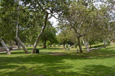Enlarge photo 2