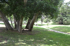 Enlarge photo 11