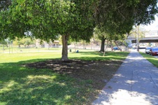 Enlarge photo 4