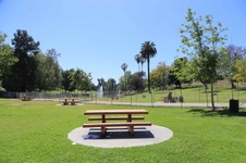 Enlarge photo 8