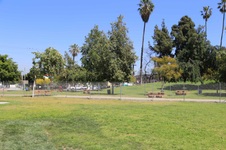 Enlarge photo 20