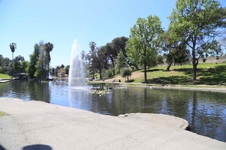 Enlarge photo 25