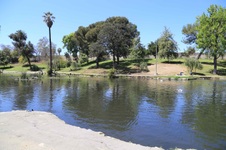 Enlarge photo 30