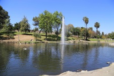 Enlarge photo 31