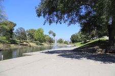 Enlarge photo 33