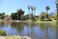 Enlarge photo 41