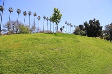 Enlarge photo 44