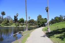 Enlarge photo 47