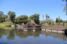 Enlarge photo 51